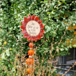 IMG_20230817_095356_564