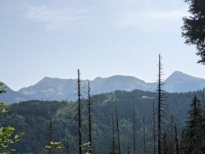Almwanderung unterm Watzmann