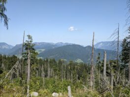 im Nationalpark unterm Watzmann