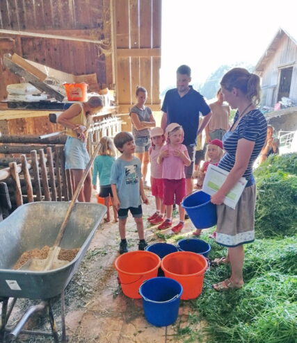 Schätzen, wie viele Eimer Wasser eine Kuh am Tag trinkt
