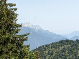 Almwanderung unterm Watzmann