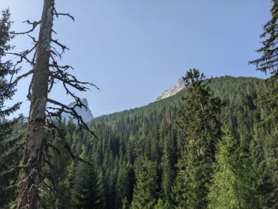 Almwanderung unterm Watzmann