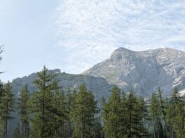 Almwanderung unterm Watzmann
