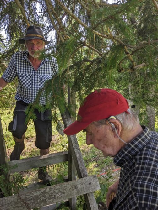 Almwanderung unterm Watzmann