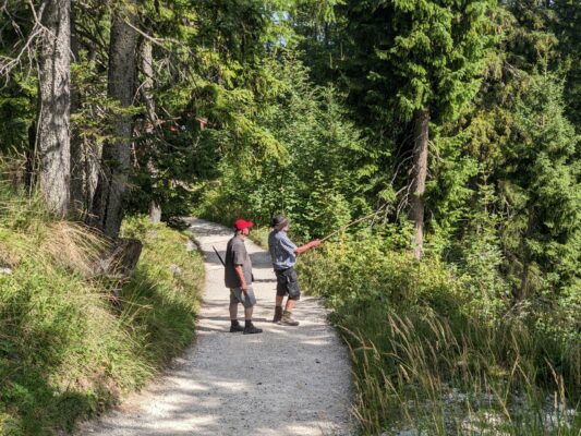 Almwanderung unterm Watzmann