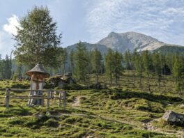 Almwanderung unterm Watzmann