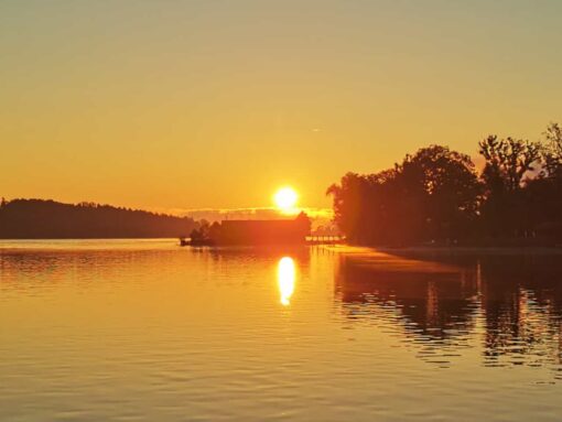 1041b9ab-35b3-4682-acdf-6e21dd59dcd8