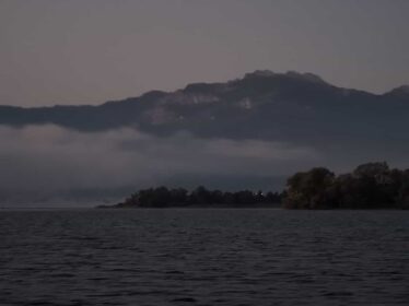 29808975-3886-437a-bff6-4cae29fcb57e