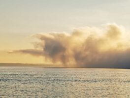 2bad2ca5-87d6-4d3b-a687-e3ae0b150558