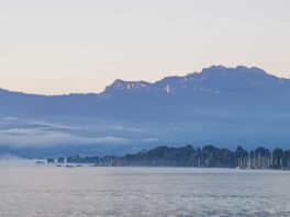 34621a66-7278-48cd-9776-b4282a69d4cf