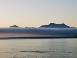 3a45f96f-ae87-41fd-afbb-4d034e17d3c1