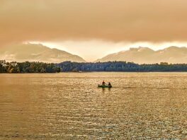 40ca0940-7211-4b7e-9c66-80daa9b427a9