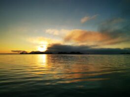 43d4c89f-221a-473a-9999-d5fc81ed11a8