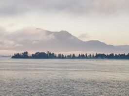 50448f22-156e-4cd5-b2ae-ac7f54d631f2