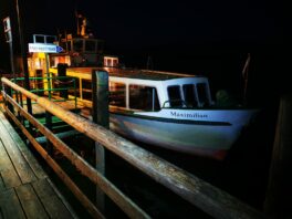 50918989-58e8-439c-9dde-3fc6e7b761e9