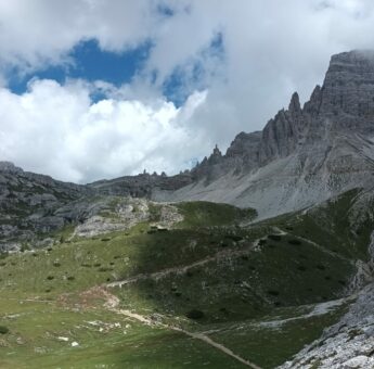 5273226f-d6d4-4dd8-a804-e2914a0b7a3d