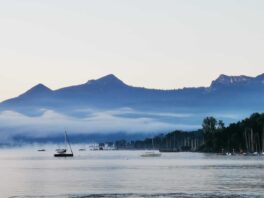 7324b245-4234-4566-8b1c-ddf6d802bbc2