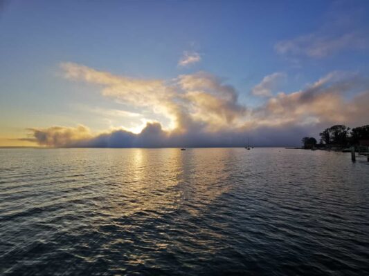 79f9893d-25ec-4454-9773-a309709f5b8f