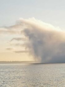 7a96ac32-cff0-4bf5-a70f-4ad98a02ad82