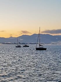 9ba81171-5536-4512-8ac5-dcf4d6a20c3d