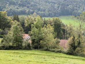von Steinkirchen auf den Dandlberg