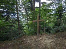 von Steinkirchen auf den Dandlberg