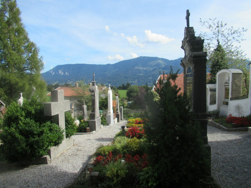 von Steinkirchen auf den Dandlberg