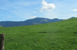 von Steinkirchen auf den Dandlberg