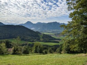 von Steinkirchen auf den Dandlberg