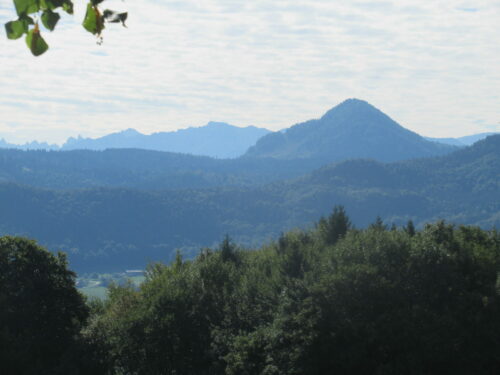 von Steinkirchen auf den Dandlberg