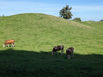von Steinkirchen auf den Dandlberg