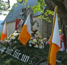 PferdesegnungDSCF5597