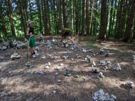 von Steinkirchen auf den Dandlberg