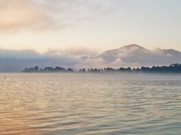 a404f57b-743f-4abb-999a-c791cea38d90