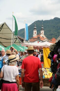 aschauer markt11