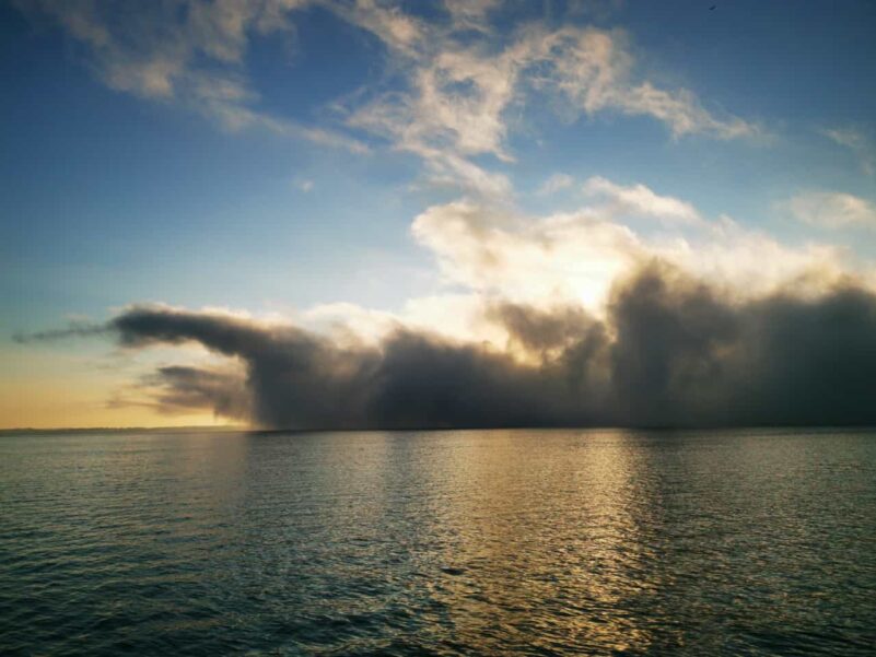 b787ee89-378d-47f0-98e2-40fe74e02b99