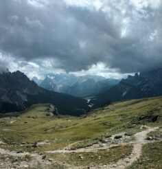 b9a7ed3f-cbe8-434a-9586-fb53385f62bb