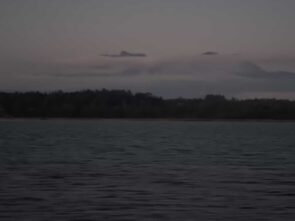 bf1aca88-b340-405b-9b03-68a42993d397