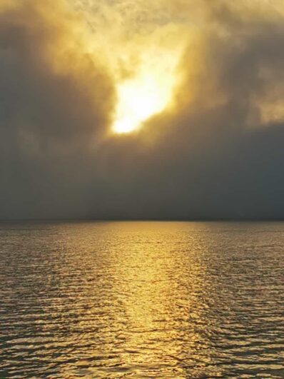 c47c887a-0b67-4ad2-ad55-dad4b18d00a3