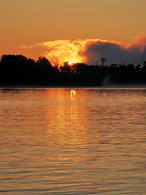 c4d3b9f3-da7e-49c3-8b03-81ed5900d6d6