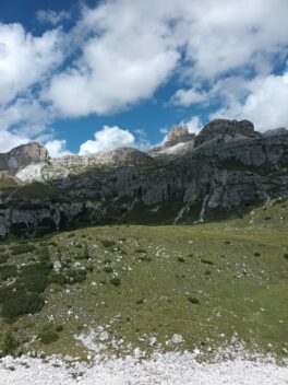 cd3d9d01-9400-46e8-b99f-148e141abcb1