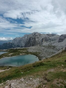 ced38ec6-af3f-49a3-ad2f-36a9b41cc679