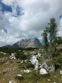 d2ef4e98-165a-423c-b55a-6e765fd0ec3c