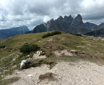 db01d948-9304-4950-afde-7144b96950b5