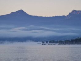 e71058ac-54d8-4292-83b8-5f85cf5650a4