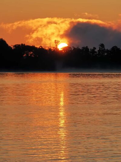 e8c23274-2ab5-43af-8a0a-dd165efd81ea