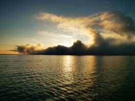 f2b52dcf-d293-42eb-916e-27d286881fac