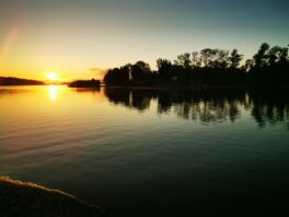 f50947a6-a798-49d0-89eb-386f7f58b752