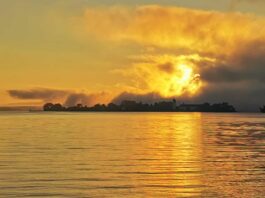 f9caaab5-1016-4705-b90b-680ac90fe4bc