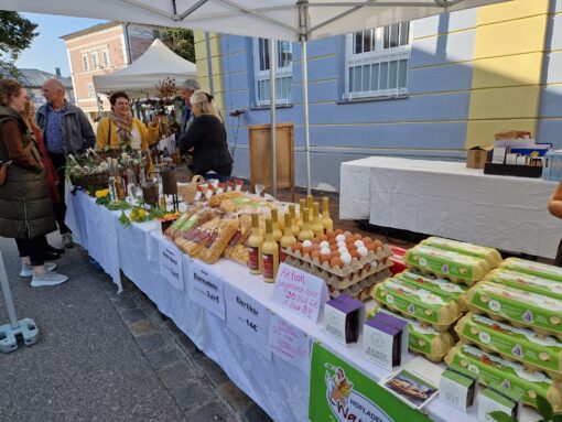 20231001_094654_resized